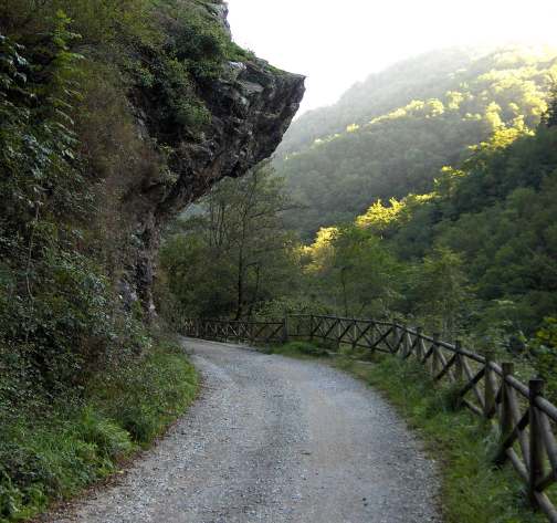 Sorgin-bide, bixera o txapela de Bertxin